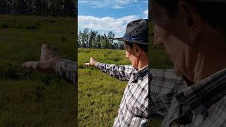 Plantó varias gramas en una laguna y fracasaron, solo el pasto torpedo resistió 🌿👍