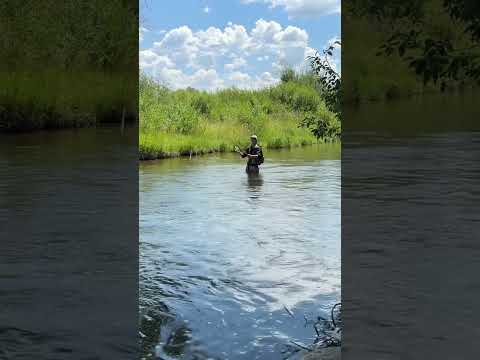 007 #fishing #bassfishing #fishinglife #fish #outdoors #meme