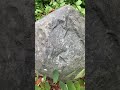 Characteristics and Composition of Tillway Rock