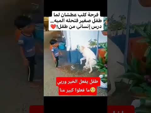 ما اجمل ان تفعل خير🥺🤲🏼ربي يحفظك لامك وابوك🤲🏼🥺