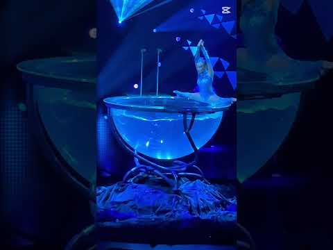 😲✨ “Waikīkī nights just got INSANE thanks to Cirque du Soleil!” #viralvideo #cirquedusoleil
