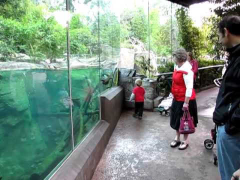 Playing with an Otter-1