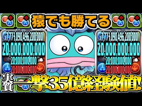 【神ダンジョン】本日開催！サンリオキャラ達のランク上げ適正がヤバすぎた【パズドラ】