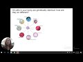 Cell Differentiation and Function