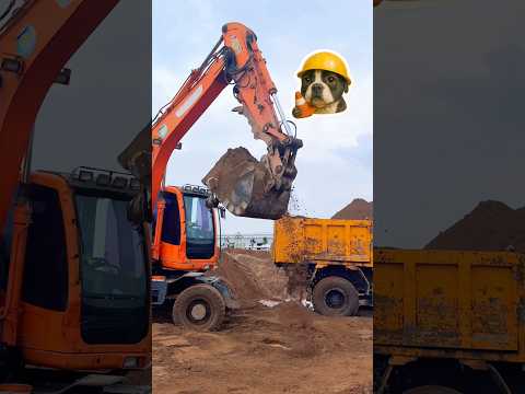 Máy xúc múc cát đổ đầy thùng xe ben lúc trời mưa. #excavator