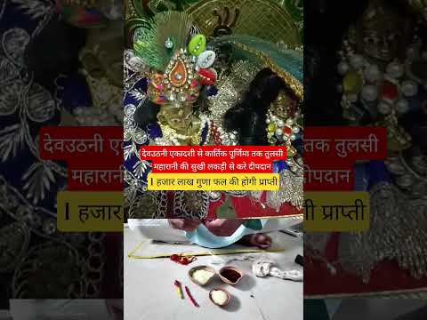 देव उठनी एकादशी तुलसी महारानी की सुखी लकड़ी से दीपदान 1 लाख हजार गुणा फल की प्राप्ती।#shorts