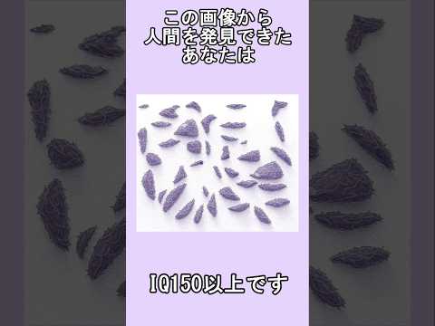 あなたは分かる？？？