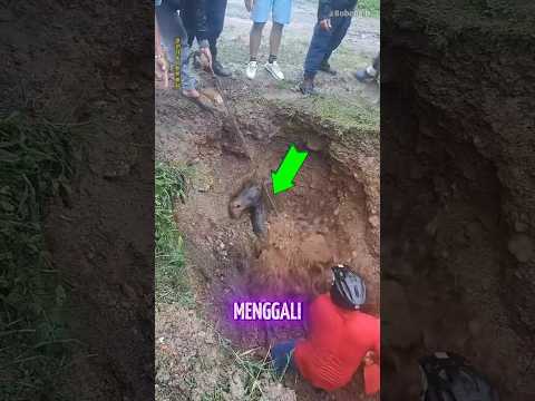 Penemuan misterius