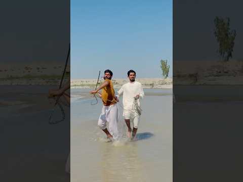 بچی دریا میں تنہا! کیا کوئی بچا سکے گا؟ | Bachi Darya Mein Tanha! Kya Koi Bacha Sakay Ga? #funny