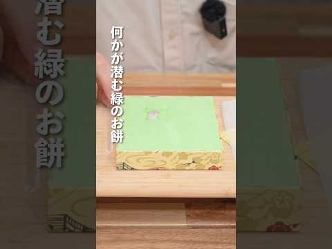 鳥好きは絶対に買ったほうがいいお菓子『うその餅』 #shorts
