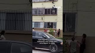 Rescataron a este perrito en Puerto Vallarta | MLDA