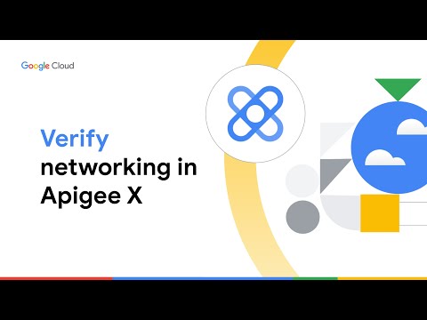How to verify networking in Apigee X