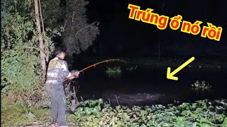 Mồi câu mới - Điểm câu mới trúng bầy cá tra vùng biên giới Campuchia 