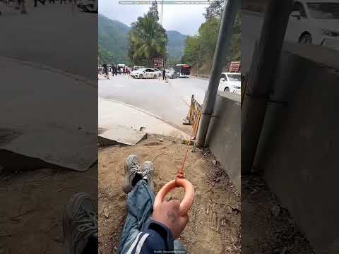 Easiest Job Ever | #shorts #viralshorts