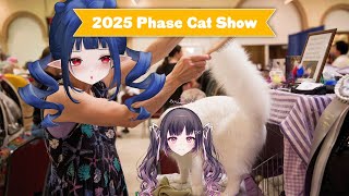 Phase Cat Show