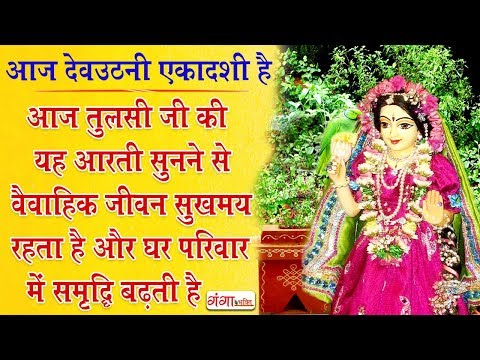 आज तुलसी जी की यह आरती सुनने से वैवाहिक जीवन सुखमय रहता है और घर परिवार में समृद्धि बढ़ती हैं
