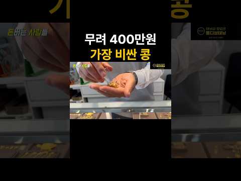 무려 400만원짜리 세상에서 가장 비싼콩