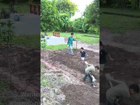 มีความสุขกับครอบครัวใช้ชีวิตแบบพอเพียง #ขุดคลองไส้ไก่ #ความสุข #nature #canal #automobile