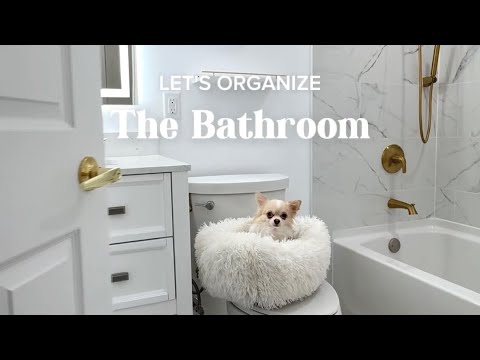 Setting up "Le Bathroom" 🛁🫧 FULL VIDEO