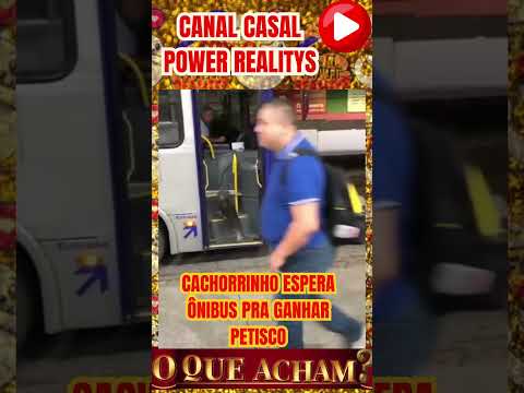 CACHORRINHO ESPERA ÔNIBUS PRA GANHAR PETISCO   #casalpowerrealitys #amoraosanimais