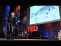 Sustainable Fish Farming and Ecological Agriculture