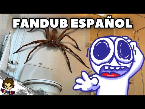 🔴Rabbert Encuentra a Nestor 🌀Fandub Español🌀 [ @Rabbert en Español ]