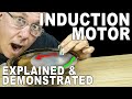 Induction Motors and Electromagnetic Principles