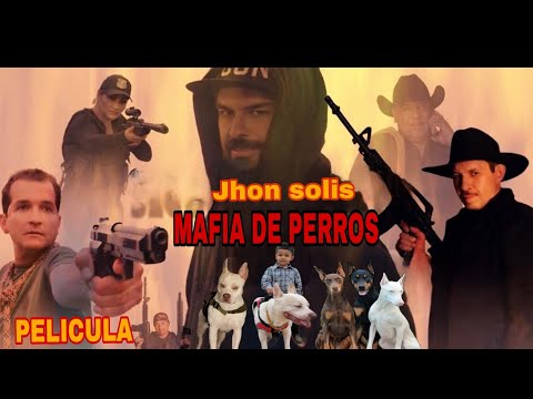 La mafia de perros ￼🎬 Película Completa en Español