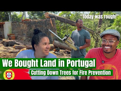 We Bought Rural Land in Portugal & Today Was the Hardest Day: Cutting Down Trees for Fire Prevention