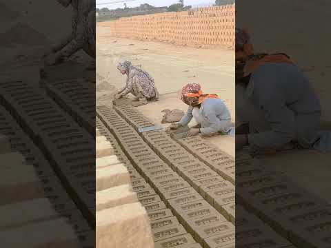 #dance #indiansong #song #sadabaharnagme #bollywoodmusic #funny #oldhigold #love #jhankarhits