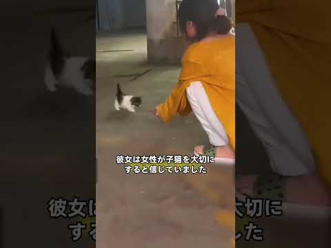 自分の子を人間に渡す母猫