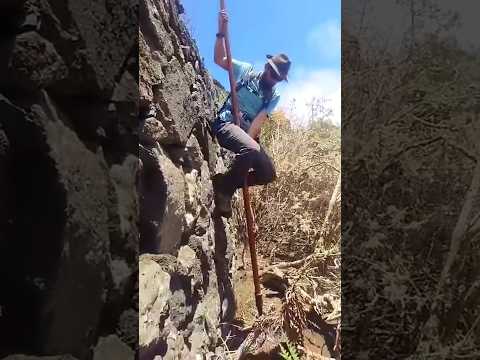 They Jumped With Just a Stick!