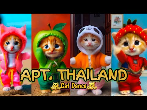 APT VERSI THAILAND KUCING JOGET LUCU BERSAMA KAWAN KAWAN KUCING KITTYDAV