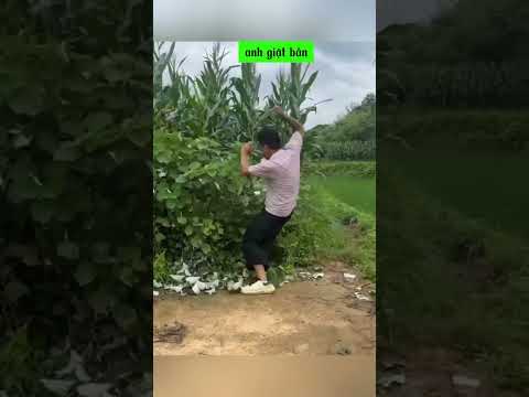 Cô Vợ Ngoại Tình Chồng Đi theo Rình cái kết #shorts