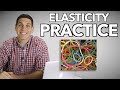 Exploring Elasticity Concepts in Economics
