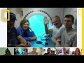 Aquarius Project Marine Life Insights