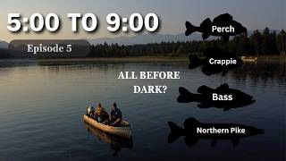 Can We Catch FOUR Different Species Before DARK? | 5 to 9