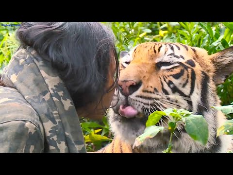 Heartwarming Reunions: Animals Reunited With Their Owners After Years Apart!