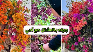 جدد معنوياتك 🍀 معلومات عامه عن النباتات مع أمي🌿