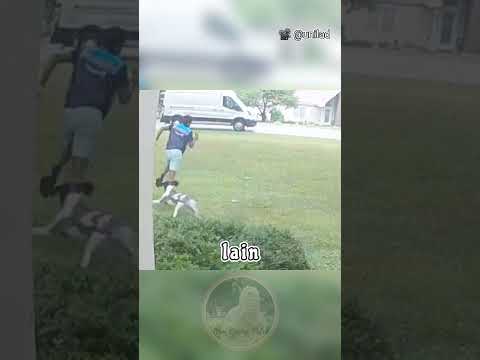 Cara Kocak Abang Kurir Paket Menghadapi Anjing ‼️ #shorts #viral #faktamenarik