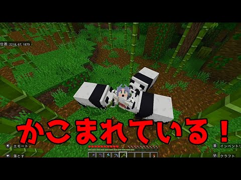 thumbnail_nAc1m5jYH3Y