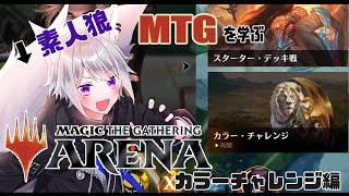 【 MTGA 】 素人狼がMTGを学ぶ～カラチャレ編～【 白乃狼  / Vtuber 】
