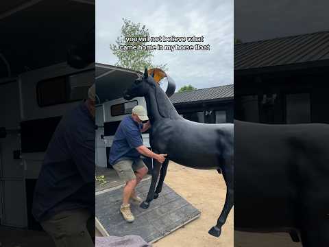 You will not believe what came home in my horse float #equestrian #horsegirl #equestrianlife