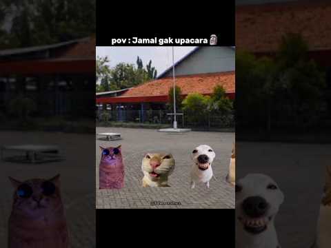mantap🗿👍🏿 #dance #techno #malidjedje #cat #animasulucu #funny #kucinglucu #lawak #catlovers