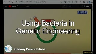 Using Bacteria in Genetic Engineering