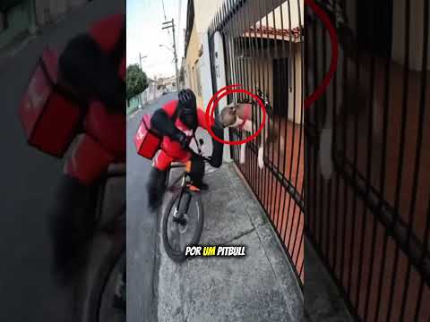 O macaco só queria trabalhar mas… #shorts