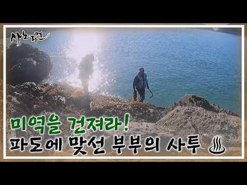 미역을 건져라! 거센 파도에 맞선 부부의 사투 ♨ MBN 260906 방송