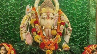 विघ्नहर्ता की कृपा से आपके जीवन में सौभाग्य आकर्षित हो रहा है,आप किसी की तपस्या का फल हैं ♥️🔱🪷😇💵💵❤🧿👑