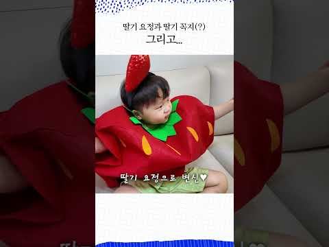 <strong>진정한</strong> 딸기팸🍓