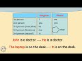 Exploring Singular and Plural Pronouns in English